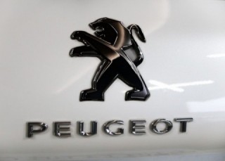 ＜外車の芸術＞　Peugeot グランドCC オープン　ハワイアンナイト